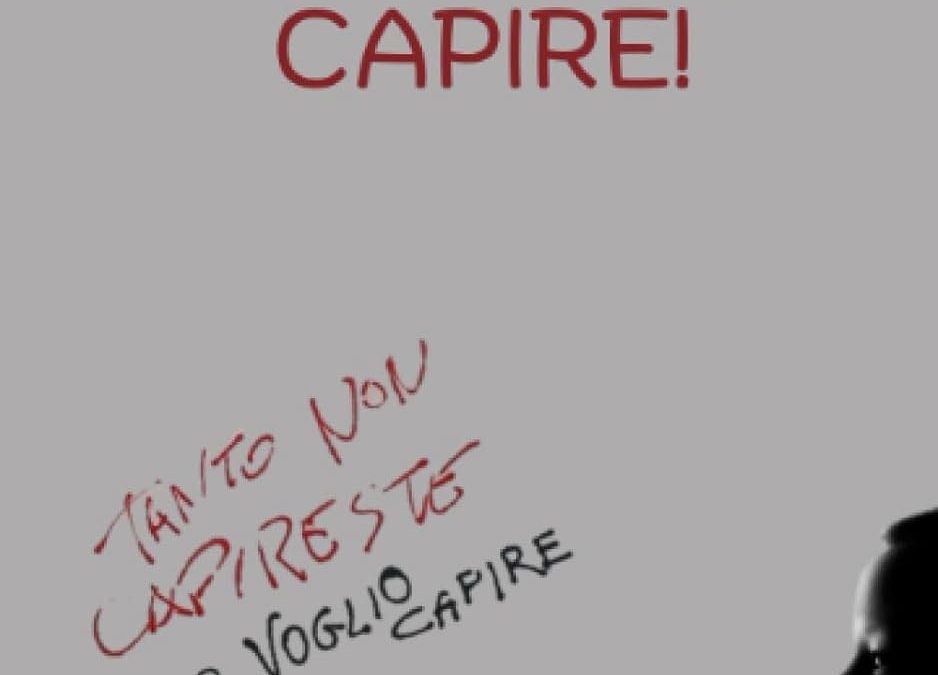 Io voglio capire, un saggio di Monica Zaulovic